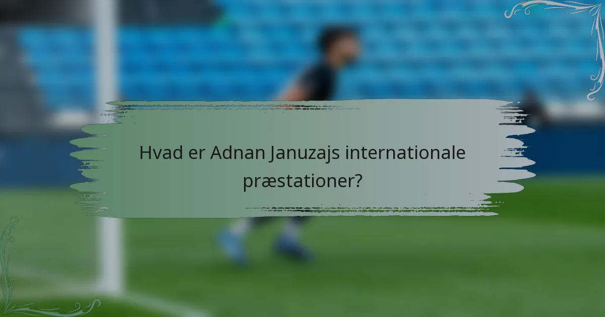 Hvad er Adnan Januzajs internationale præstationer?