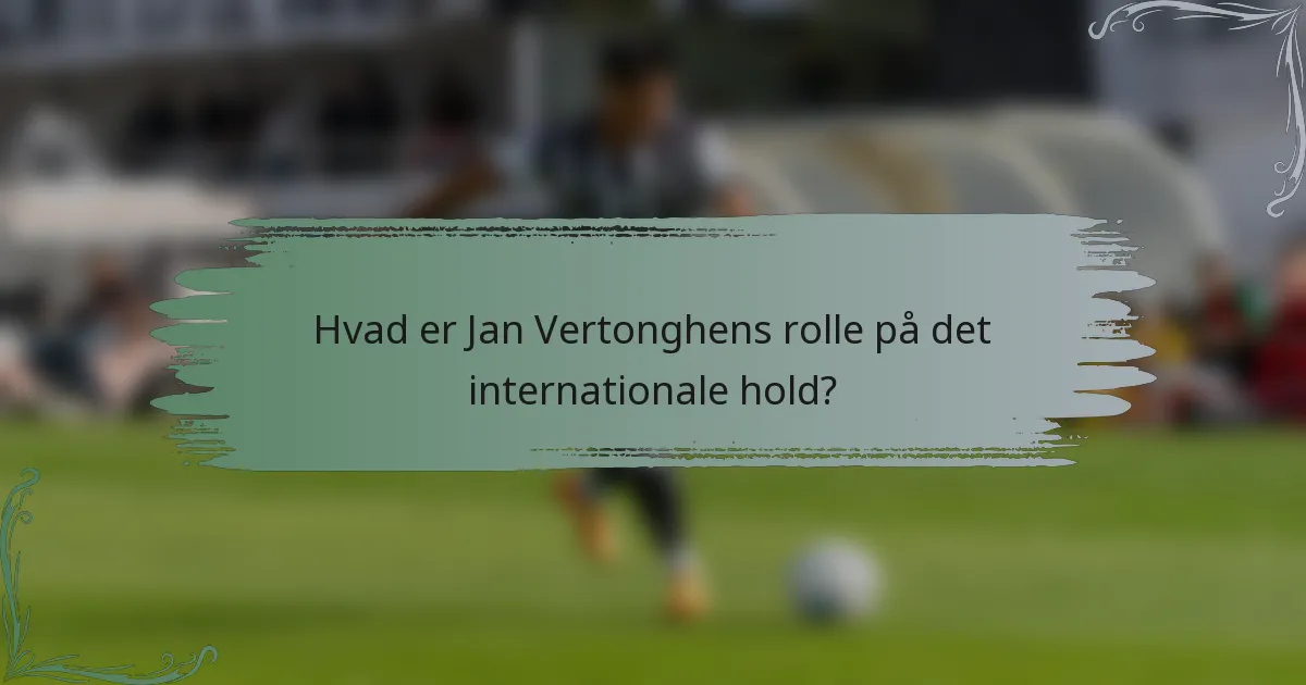 Hvad er Jan Vertonghens rolle på det internationale hold?