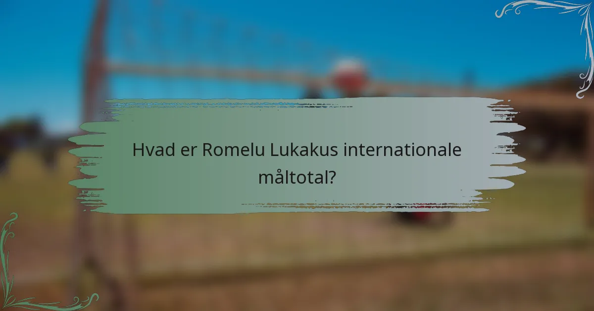 Hvad er Romelu Lukakus internationale måltotal?