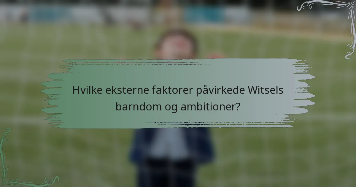 Hvilke eksterne faktorer påvirkede Witsels barndom og ambitioner?