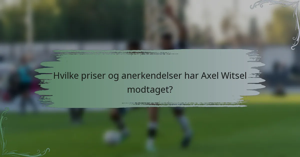 Hvilke priser og anerkendelser har Axel Witsel modtaget?