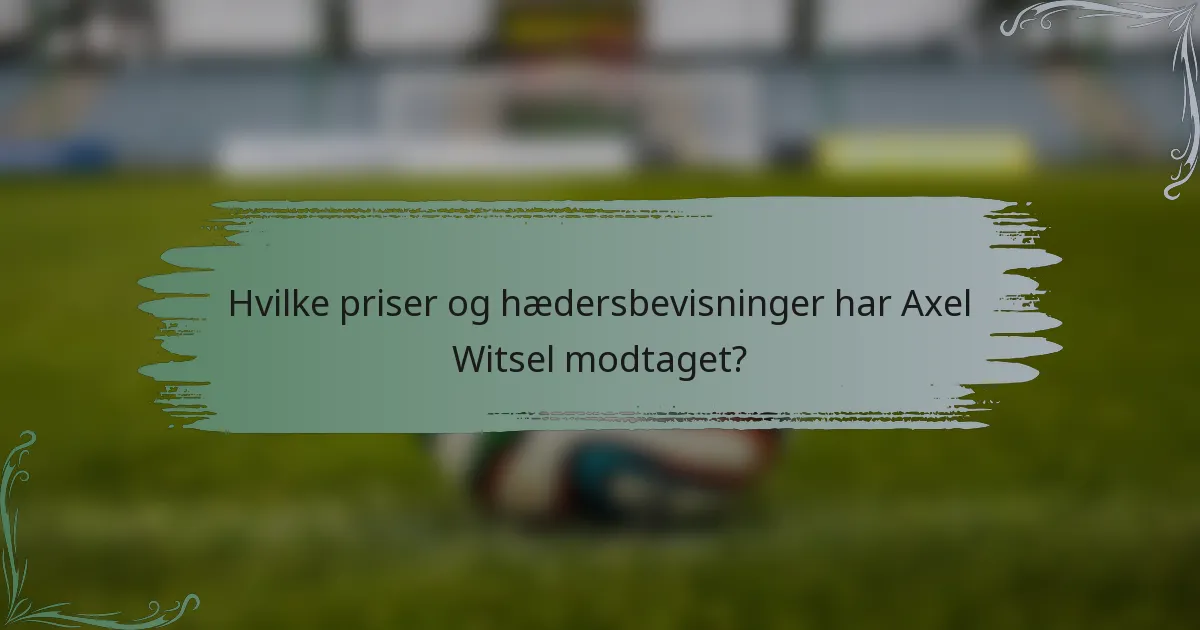 Hvilke priser og hædersbevisninger har Axel Witsel modtaget?