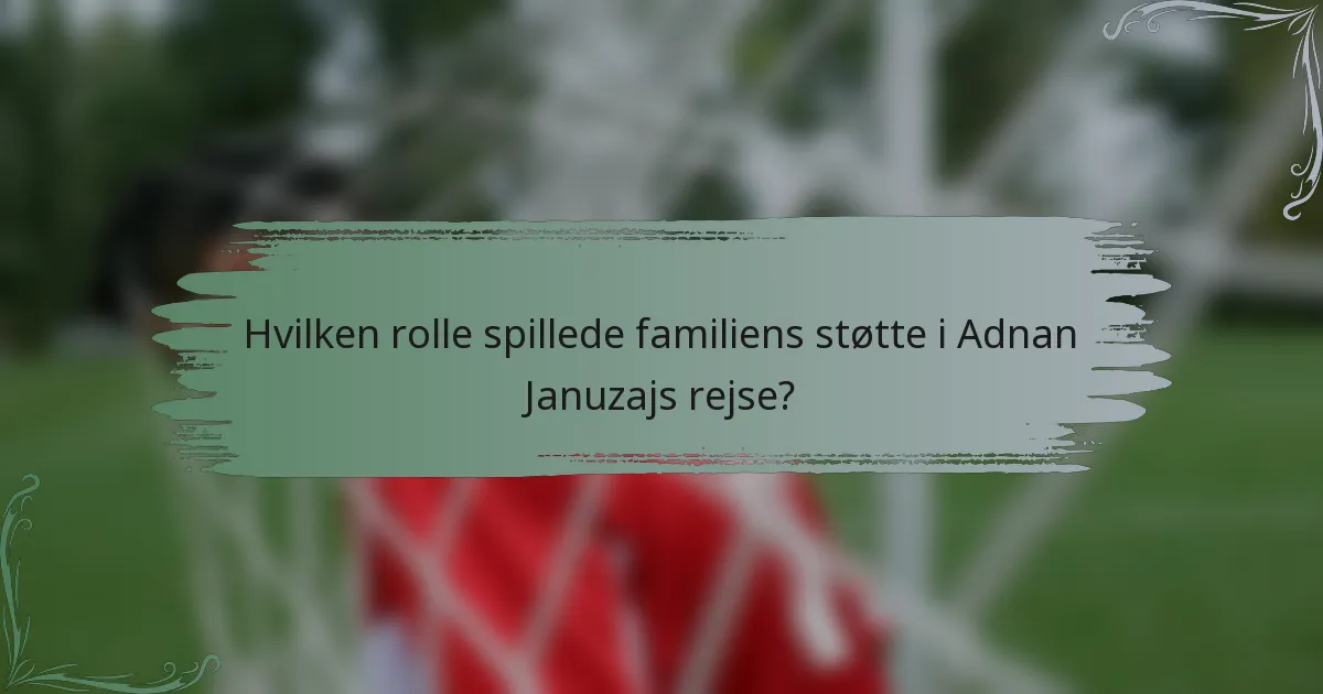 Hvilken rolle spillede familiens støtte i Adnan Januzajs rejse?