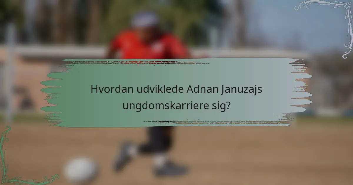 Hvordan udviklede Adnan Januzajs ungdomskarriere sig?
