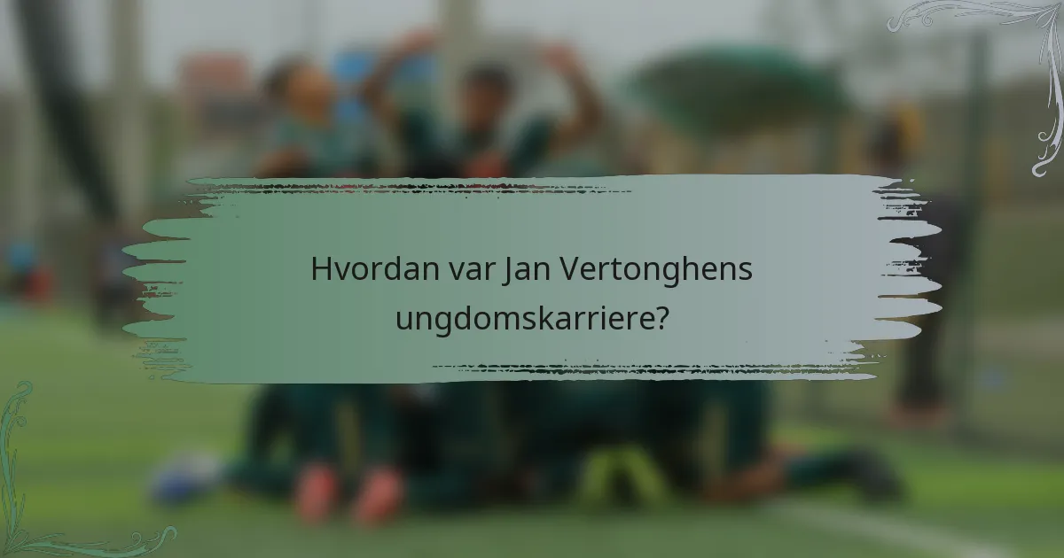 Hvordan var Jan Vertonghens ungdomskarriere?